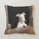 Suche nach whippet kissen Haustier
