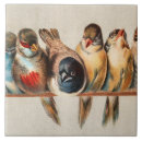 Suche nach tauben fliesen Niedlich