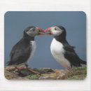 Suche nach papageientaucher mousepads Vogel
