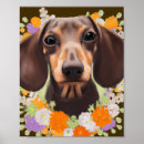 Suche nach dachshunds poster Dackel