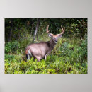 Suche nach buckel poster Papa