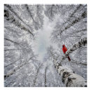 Suche nach winterlicher poster Jede person