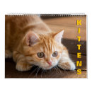 Suche nach kätzchen ich kalender Natur