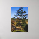 Suche nach baum kunst Portrait