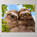 Suche nach valentinstag poster Liebe