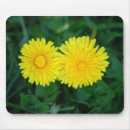 Suche nach löwenzahn mousepads Blumen