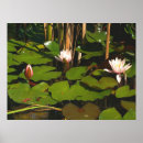 Suche nach nymphe poster Teich