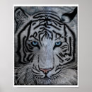 Suche nach wilde katze poster Tiger