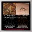 Suche nach vergleich poster Jede person
