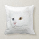 Suche nach katzengesicht kissen Katzenliebhaber