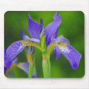 Suche nach iris blume mousepads Pflanze