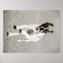 Suche nach englisch poster Hund