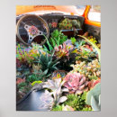 Suche nach succulent poster Cactus