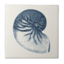 Suche nach shark fliesen Blau