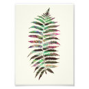 Suche nach lila pfau poster Hübsch