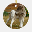 Suche nach poppy ornamente Verzierung