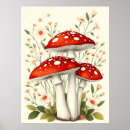 Suche nach weißer pilz poster Natur