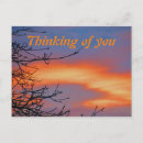 Suche nach morgenhimmel Jede person