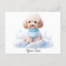 Suche nach apricot postkarten Poodle