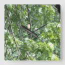 Suche nach kardinal wanduhren Tulpen rot