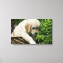 Suche nach ausdehnen kunst Hund