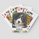 Suche nach personalisiert spielkarten Hund