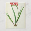 Suche nach redoute postkarten Illustration