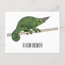 Suche nach chamäleon postkarten Reptil