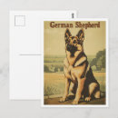 Suche nach deutscher schäferhund postkarten Dsd