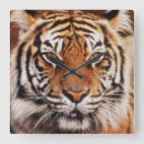 Suche nach adam jones wanduhren Tag