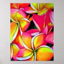 Suche nach frangipani poster Plumeria