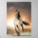 Suche nach stallion poster Tier