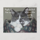 Suche nach katze und maus postkarten Kitty
