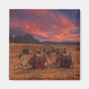 Suche nach kamel magnete Sand