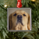 Suche nach leckerei ornamente Hund