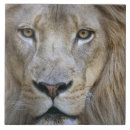 Suche nach erwachsene fliesen Afrika