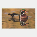 Suche nach drake aufkleber Wasservögel