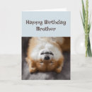 Suche nach alles gute zum für hunde geburtstag karten Für ihn