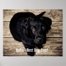 Suche nach schwarzer labrador poster Für alle