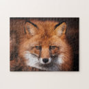 Suche nach fuchs puzzle Jede person