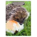 Suche nach igel klemmbrett Tier