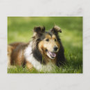 Suche nach profil postkarten Park