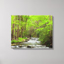Suche nach ann leinwandbilder Wald
