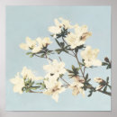 Suche nach azalee poster Vintag