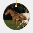 Suche nach appaloosa ornamente Stute und fohlen