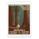 Suche nach sequoia magnete Kalifornien