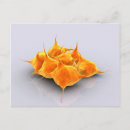 Suche nach zytologie postkarten Thrombozyten