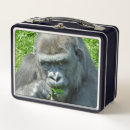 Suche nach lustige gorillas wohnen zuhause Primate