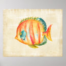 Suche nach bunte fische poster Aquarell