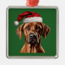 Suche nach rhodesian ridgeback ornamente Weihnachtsmannmütze